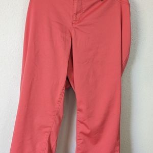 CATO Premium plus size pants 26w
